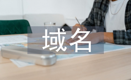 互聯網絡域名管理制度