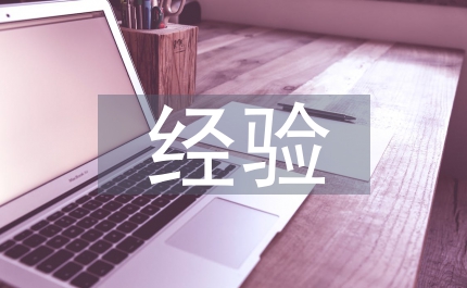 資產管理工作的成效及經驗