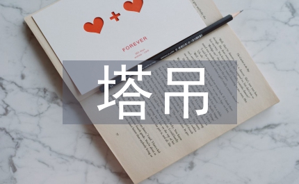 塔吊畢業總結