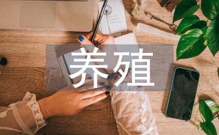 土雞養殖新技術