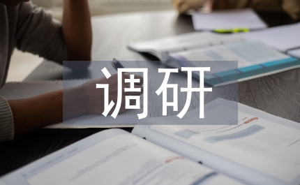 調(diào)研全面小康新農(nóng)村建設(shè)時(shí)的講話