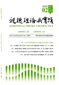 視聽理論與實踐雜志