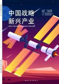 中國戰略新興產業雜志